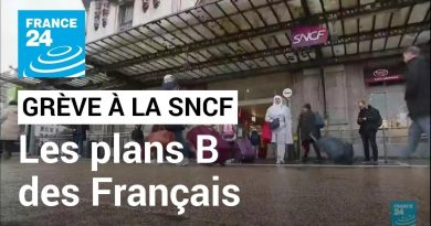 Grève à la SNCF : les alternatives des Français