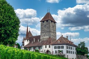 Pays de la Loire, Nantes, Angers, Loire river, castle, vineyard, coast, landscape