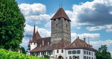 Pays de la Loire, Nantes, Angers, Loire river, castle, vineyard, coast, landscape
