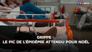Grippe : le pic épidémique prévu pour Noël