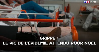 Grippe : le pic épidémique prévu pour Noël