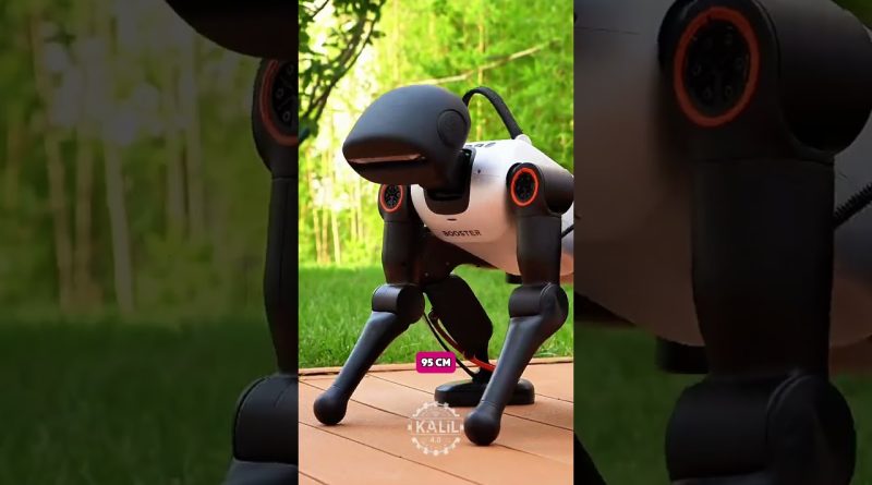 Guerre des prix des robots humanoïdes en Chine : un choc !