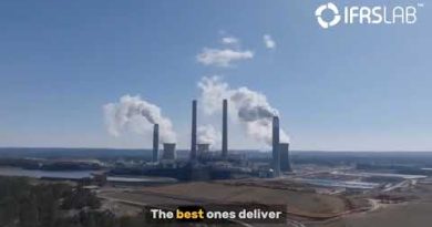 Guide Complet des Crédits Carbone : Stratégies pour Entreprises