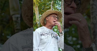 Guide ORSEC : Adapter le PAS pour une île résiliente