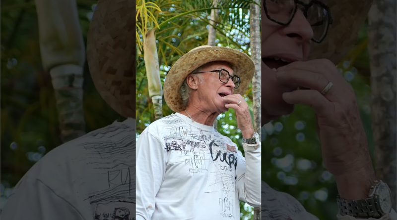 Guide ORSEC : Adapter le PAS pour une île résiliente