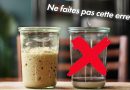 Guide complet pour entretenir un levain éternel
