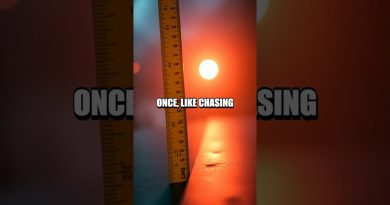 Guide des ados : Cinq fondements du quantum