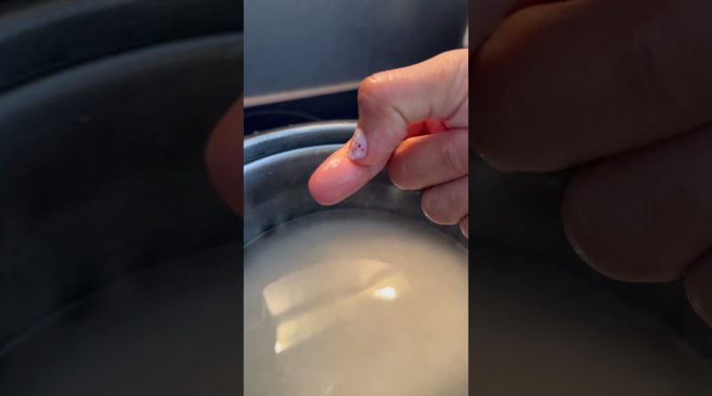 Guide pratique pour cuire le riz au cuiseur à riz