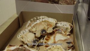 Guy Savoy : Histoires de cuisine étoilée Michelin