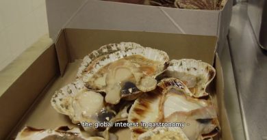 Guy Savoy : Histoires de cuisine étoilée Michelin