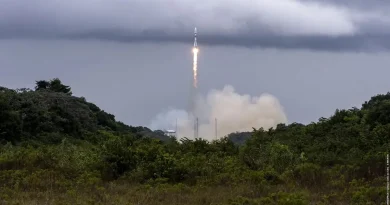 Guyane : le centre spatial déclaré coupable de destruction d'espèces protégées