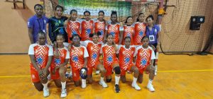 Hand – Coupe de la CTG : AJSE, Geldar et Ara sur tous les fronts