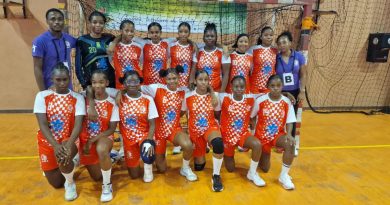 Hand – Coupe de la CTG : AJSE, Geldar et Ara sur tous les fronts