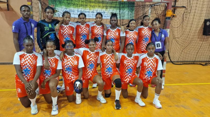 Hand – Coupe de la CTG : AJSE, Geldar et Ara sur tous les fronts