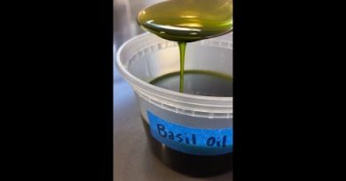 Huile de basilic Michelin : recettes à découvrir sur Instagram