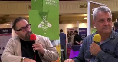 IA en éducation : outil essentiel ou simple tendance à surveiller ?