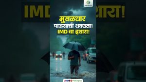 IMD: Musaladhar Pavasाची शक्यता, सावध राहा!