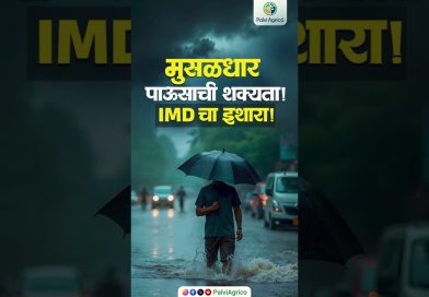 IMD: Musaladhar Pavasाची शक्यता, सावध राहा!