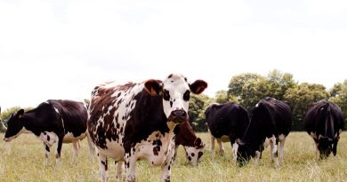 [ILLE-ET-VILAINE] Inscrivez-vous à l'accompagnement 'Adaptation au changement climatique' • Réseau GAB - FRAB