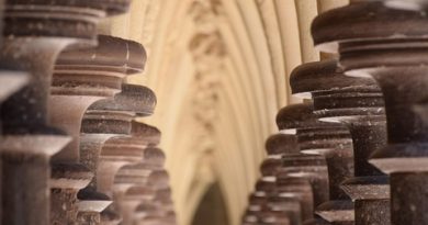 Normandie, Caen, Rouen, Mont-Saint-Michel, cliff, beach, cow, landscape, D-Day