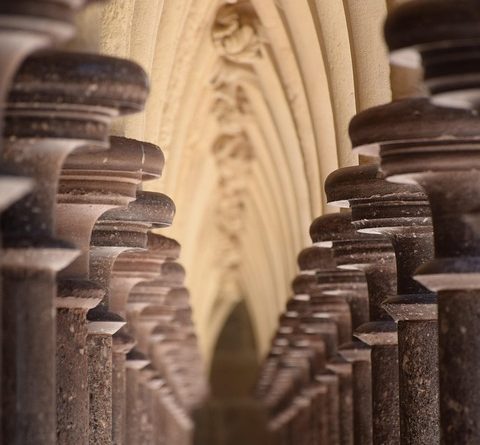 Normandie, Caen, Rouen, Mont-Saint-Michel, cliff, beach, cow, landscape, D-Day