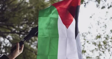 « Il n’y a pas de cessez-le-feu à Gaza, ce n’est que de la poudre aux yeux » : dans la manifestation parisienne pour la Palestine entre colère et détermination - L'Humanité