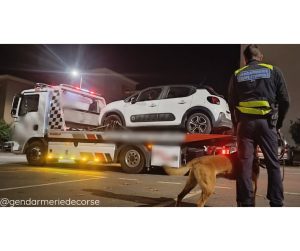 Incidents récents impliquant la Gendarmerie de Corse : enquête en cours