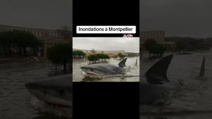 Inondations : Montpellier sous les eaux