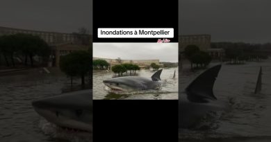 Inondations : Montpellier sous les eaux