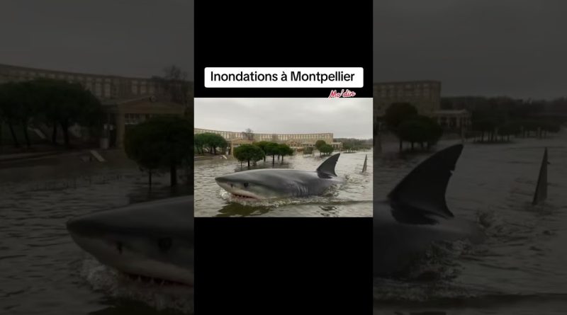 Inondations : Montpellier sous les eaux
