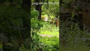 Inondations à Cumbum 2025 : Dernières nouvelles et scènes