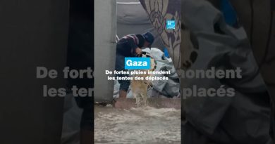 Inondations dans la bande de Gaza : les tentes des déplacés touchées