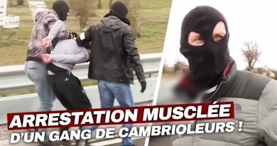 Intervention spectaculaire contre un gang de cambrioleurs