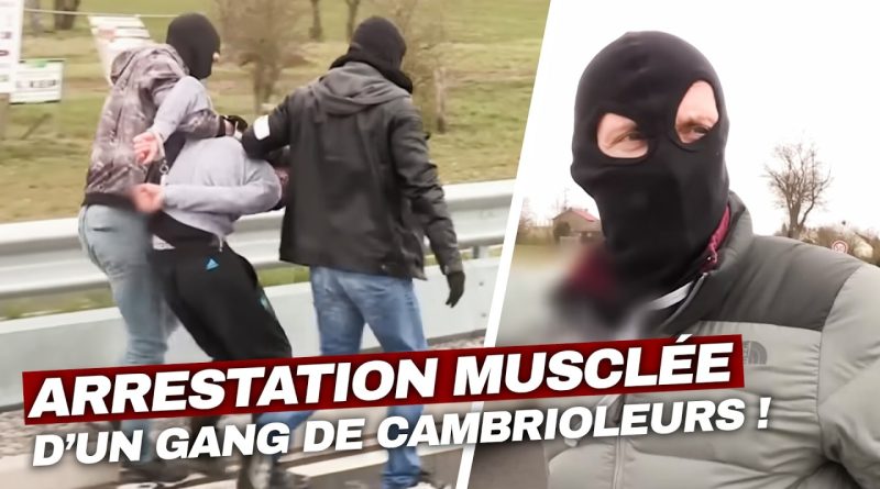 Intervention spectaculaire contre un gang de cambrioleurs