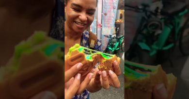 Invitation : Découvrez un voyage familial incroyable au Japon 🇯🇵