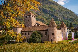 Pays de la Loire, Nantes, Angers, Loire river, castle, vineyard, coast, landscape