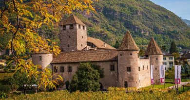 Pays de la Loire, Nantes, Angers, Loire river, castle, vineyard, coast, landscape