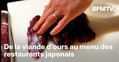 Japon: après de nombreux abattages d'ours, leur viande est proposée à la carte des restaurants