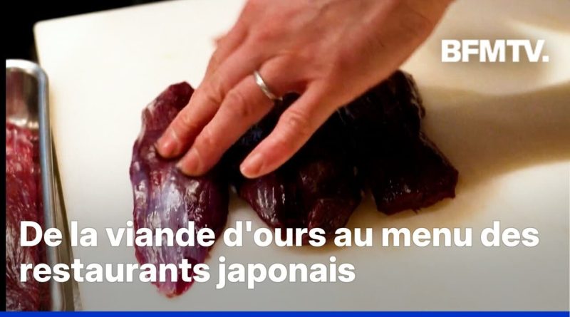 Japon: après de nombreux abattages d'ours, leur viande est proposée à la carte des restaurants