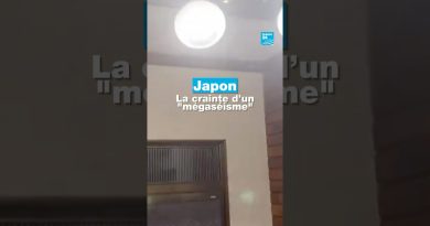 Japon : tremblement de terre et peur d'un mégaséisme