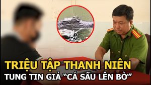 Jeune homme convoqué pour avoir diffusé une fausse info sur un crocodile