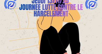 Journée de lutte contre le harcèlement 13/11