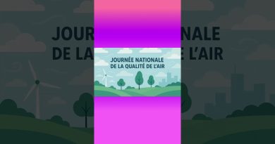 Journée nationale de la qualité de l'air : #shorts n° 131