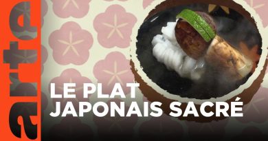 Kaiseki : Voyage culinaire au Japon | ARTE Family