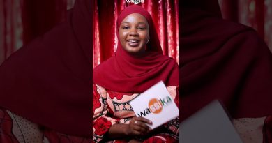 Ko Ina : L'événement incontournable de la monétique au Niger