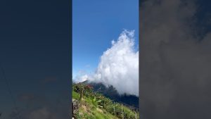 Kodaikanal : La Princesse des Stations Montagneuses