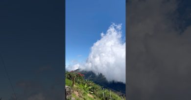 Kodaikanal : La Princesse des Stations Montagneuses