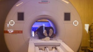 illustration agrandir l