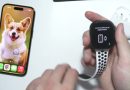 L'Apple Watch Ultra 3 dispose-t-elle de la connectivité cellulaire ?