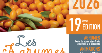 LES AGRUMES EN FÊTE 2026- BASTELICACCIA - Office Intercommunal de tourisme du Celavu-Prunelli